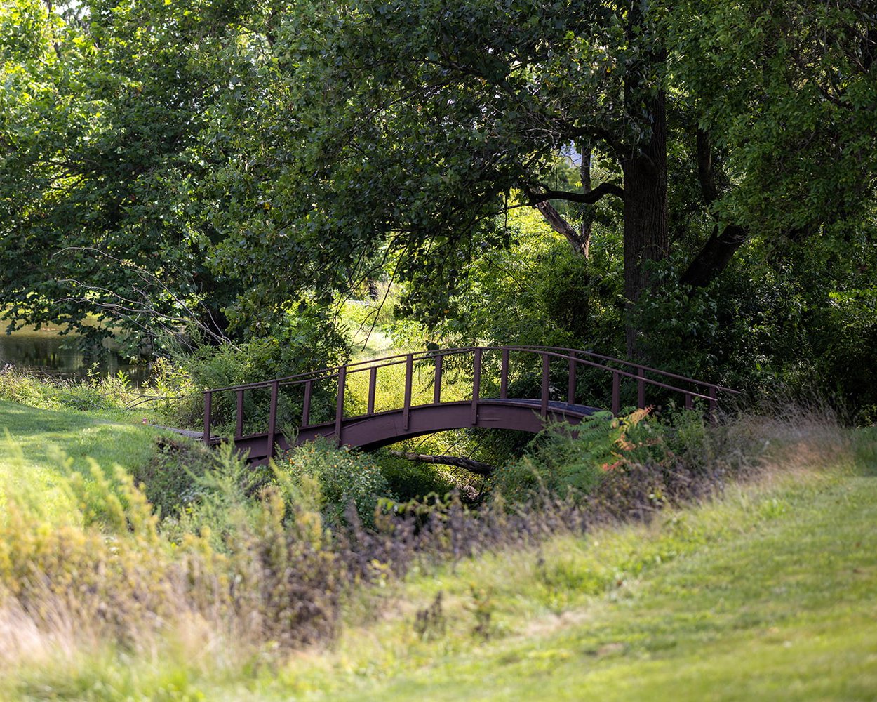 bridge at ohgc